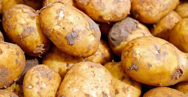Trucs pour planter vos Patates